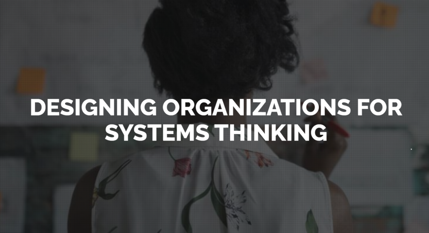 Designing Organizations for Systems Thinking