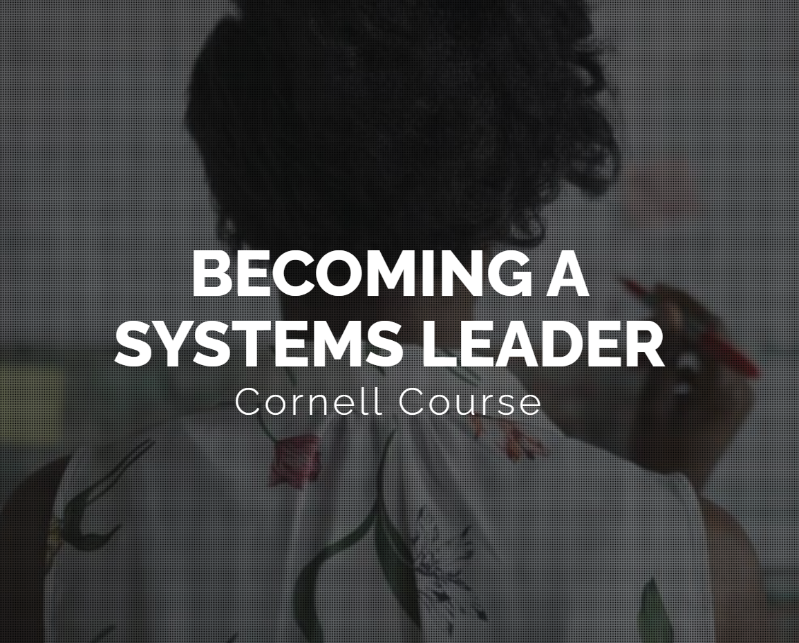 Becoming a Systems Leader