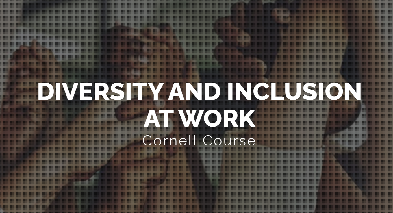 Diversity and Inclusion at Work (ILRDI 003)