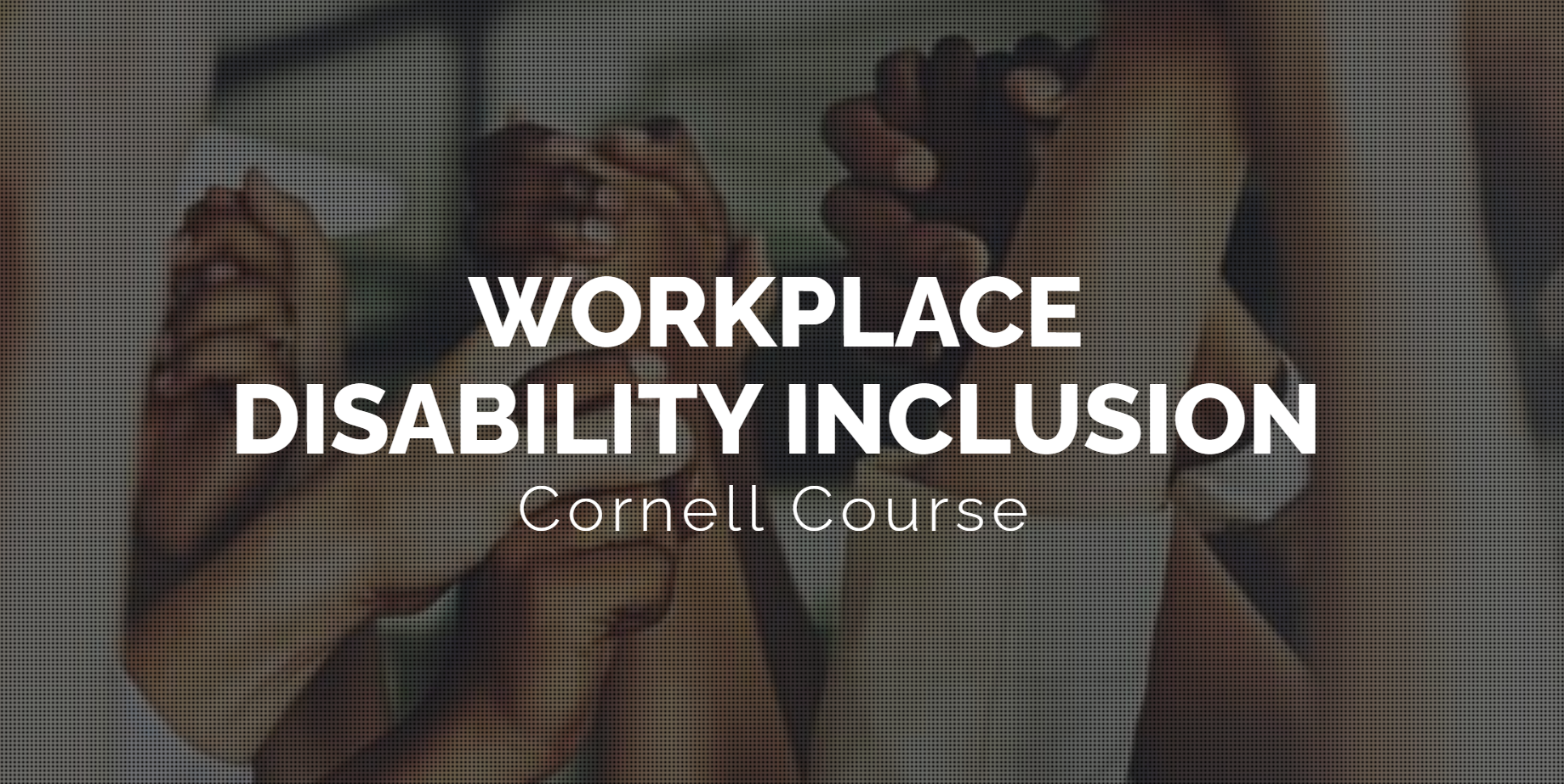 Workplace Disability Inclusion (PTRYTI001)