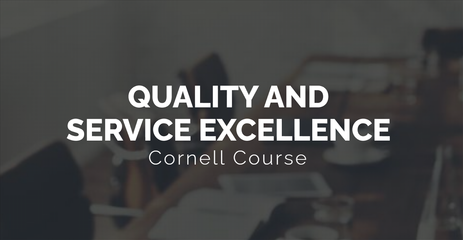 Quality and Service Excellence (LSM594)