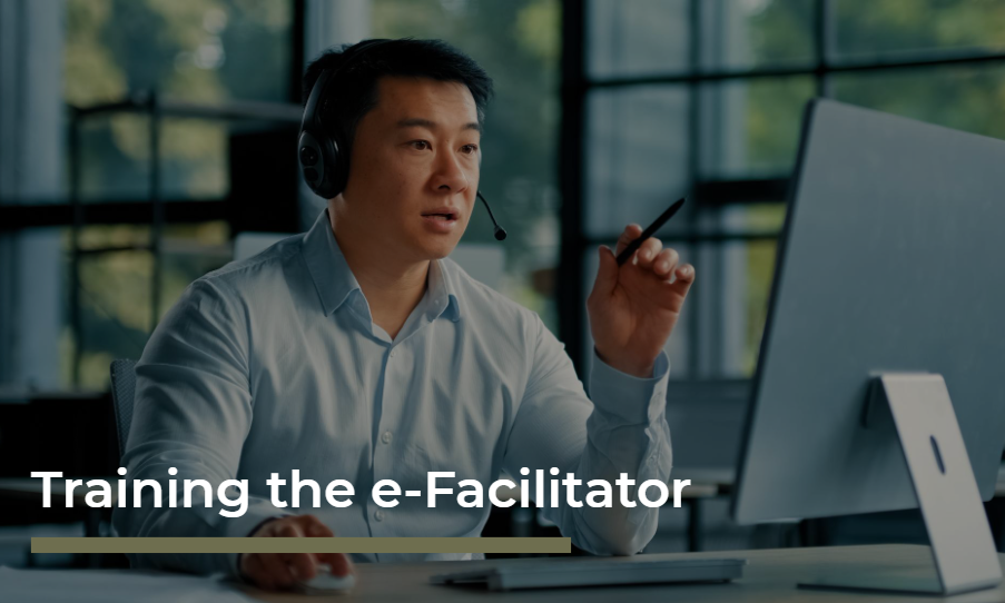 Training the e-Facilitator