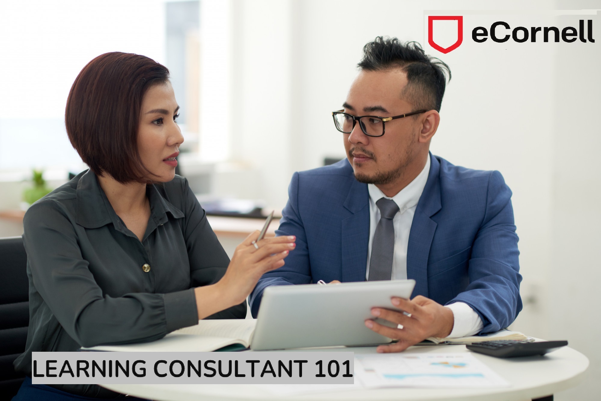 Learning Consultant 101